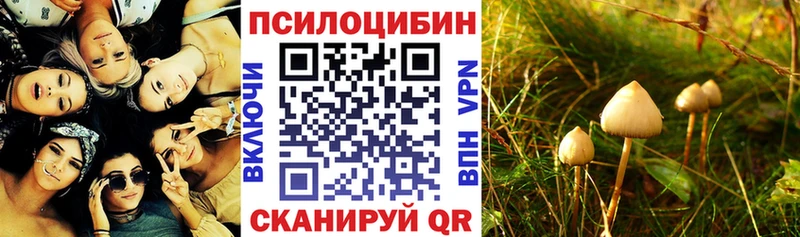 Галлюциногенные грибы прущие грибы  Кандалакша 